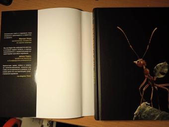 Марк Моффетт: Приключения среди муравьев. Путешествие по земному шару с триллионами суперорганизмов