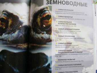 Марк Карвардин: Рекорды животных. Энциклопедия