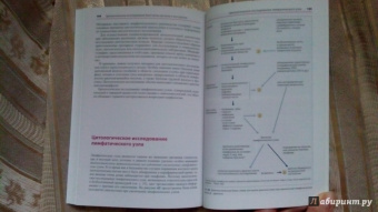 Тэмл, Диам, Хаверлах: Атлас по гематологии
