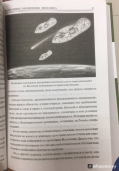 Анатолий Бернацкий: 100 великих тайн экологии