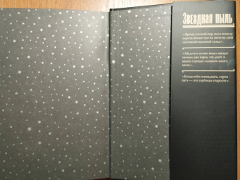 Нил Гейман: Звездная пыль