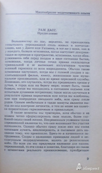 Дэниел Голмен: Многообразие медитативного опыта. Саттипадхана. Опыт внимательности