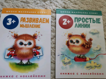 Лариса Маврина: Школа маленьких совят 3+. Развиваем мышление
