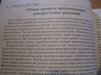 Вишневский, Замятина: Готовим из дикоросов. Травы