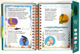 Валантен Верте: Правда ли, что?