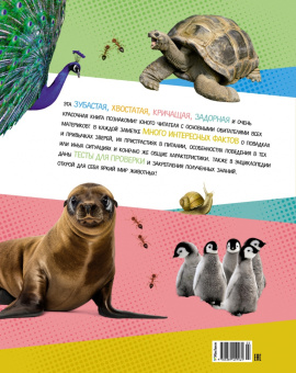 Кристин Балле: Яркий мир животных