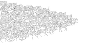 Милли Маротта: Первозданная красота. Книга для творчества и вдохновения