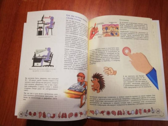 Ольга Соколова: Как устроен человек и зачем ему врачи?