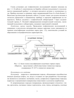 Анатолий Берзин: Геофизические исследования нефтяных и газовых скважин. Учебное пособие