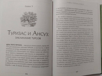 Диана Паксон: Руническое искусство. Путеводитель по использованию рун в заклинаниях, ритуалах и гадании