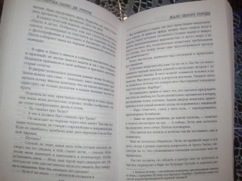 Гарсиа Саэнс де Уртури Эва: Жало белого города