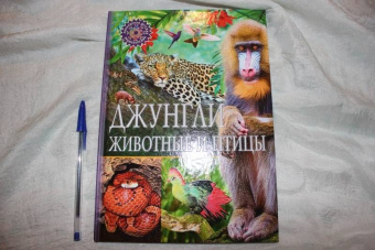 Джунгли. Животные и птицы