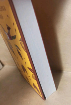 Жоржи Амаду: Габриэла, гвоздика и корица