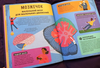 Тим Кеннингтон: Его величество мозг. Все самое интересное о работе мозга людей, животных и роботов