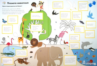 Софи Дову: Мой большой мир. Любопытные факты. Вопросы и ответы. Сделай сам