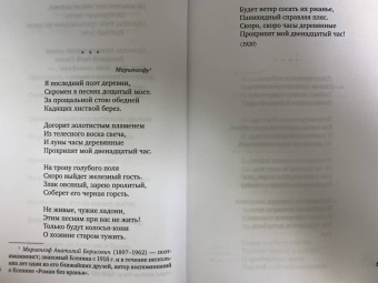Сергей Есенин: Исповедь хулигана. Стихотворения и поэмы
