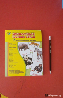 Татьяна Цветкова: Демонстрационные картинки "Животные жарких стран" (173х220 мм)