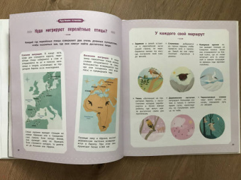 Натали Торджман: Птицы