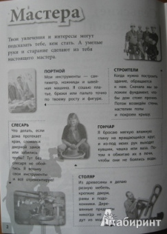 Елена Шейнина: Профессии