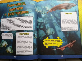 Ликсо, Кошевар: О подводном мире