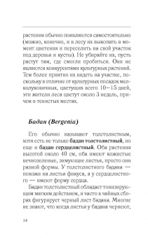 Галина Кизима: Красивый сад с весны до осени без особых усилий
