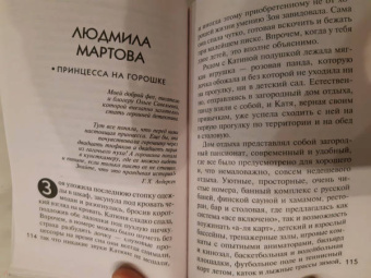 Устинова, Литвинова, Литвинов: Детектив-пикник