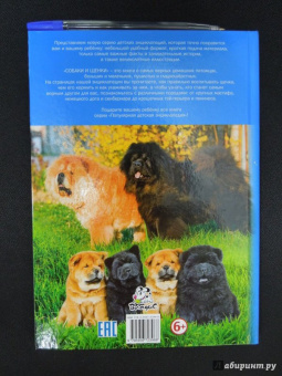 Собаки и щенки