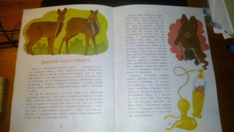 Илья Кочергин: Что такое Красная книга