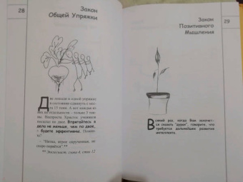 Наталья Грэйс: Психологические законы Грэйс