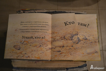 Кто спрятался?