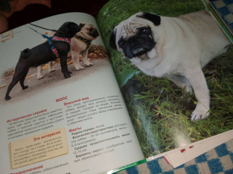 Ольга Тяжлова: Энциклопедия. Собаки