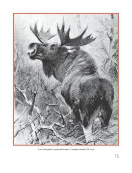 Олег Малов: Охота на парнокопытных