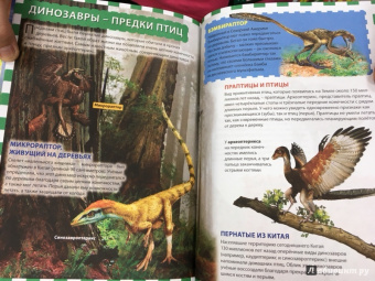 Мир динозавров