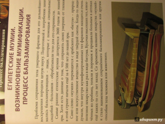 Андрей Розумчук: Мумии и пирамиды