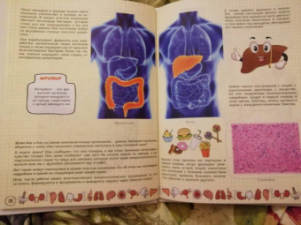 Ольга Соколова: Как устроен человек и зачем ему врачи?