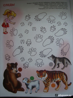 Игралка-развивалка. Для детей 4-7 лет (33989)