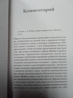 Владимир Набоков: Бледный огонь