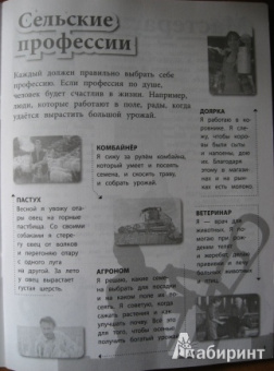 Елена Шейнина: Профессии