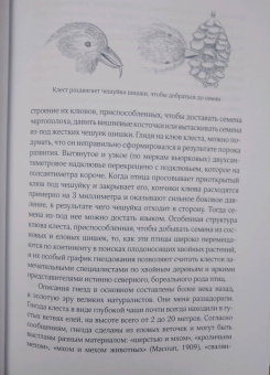 Бернд Хайнрих: Зима. Секреты выживания растений и животных в самое суровое время года