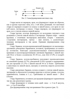 Александр Волков: Технология производства продуктов овцеводства и козоводства. Практикум. СПО