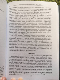 Миронова, Падкина, Самбук: РНК. Синтез и функции. Учебное пособие