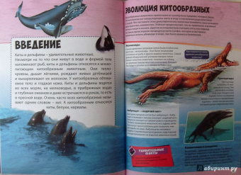 Большая книга животного мира