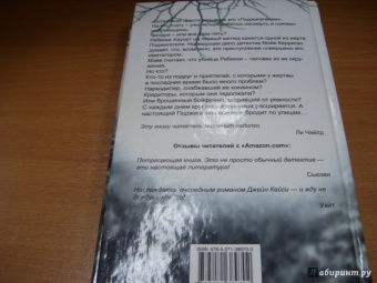 Джейн Кейси: Поджигатель