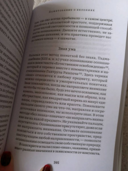 Ален Уоллес: Внимаем пристально. Четыре применения памятования