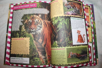 Джунгли. Животные и птицы