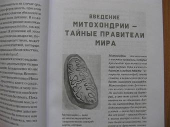 Ник Лэйн: Митохондрии и смысл жизни. Энергия, секс, самоубийство