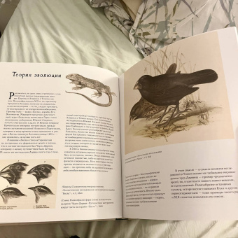 Филипп Хатфилд: Тихий. Океан цивилизаций