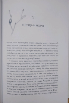 Бернд Хайнрих: Зима. Секреты выживания растений и животных в самое суровое время года