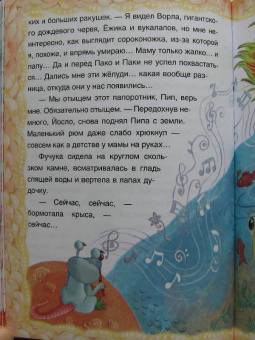 Тоня Шипулина: Волшебные жёлуди. Одно удивительное приключение трусливого рюма и глупого норика
