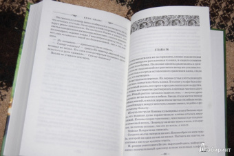 Крис Эванс: Хроники железных эльфов. Книга 1. Тьма, выкованная в огне